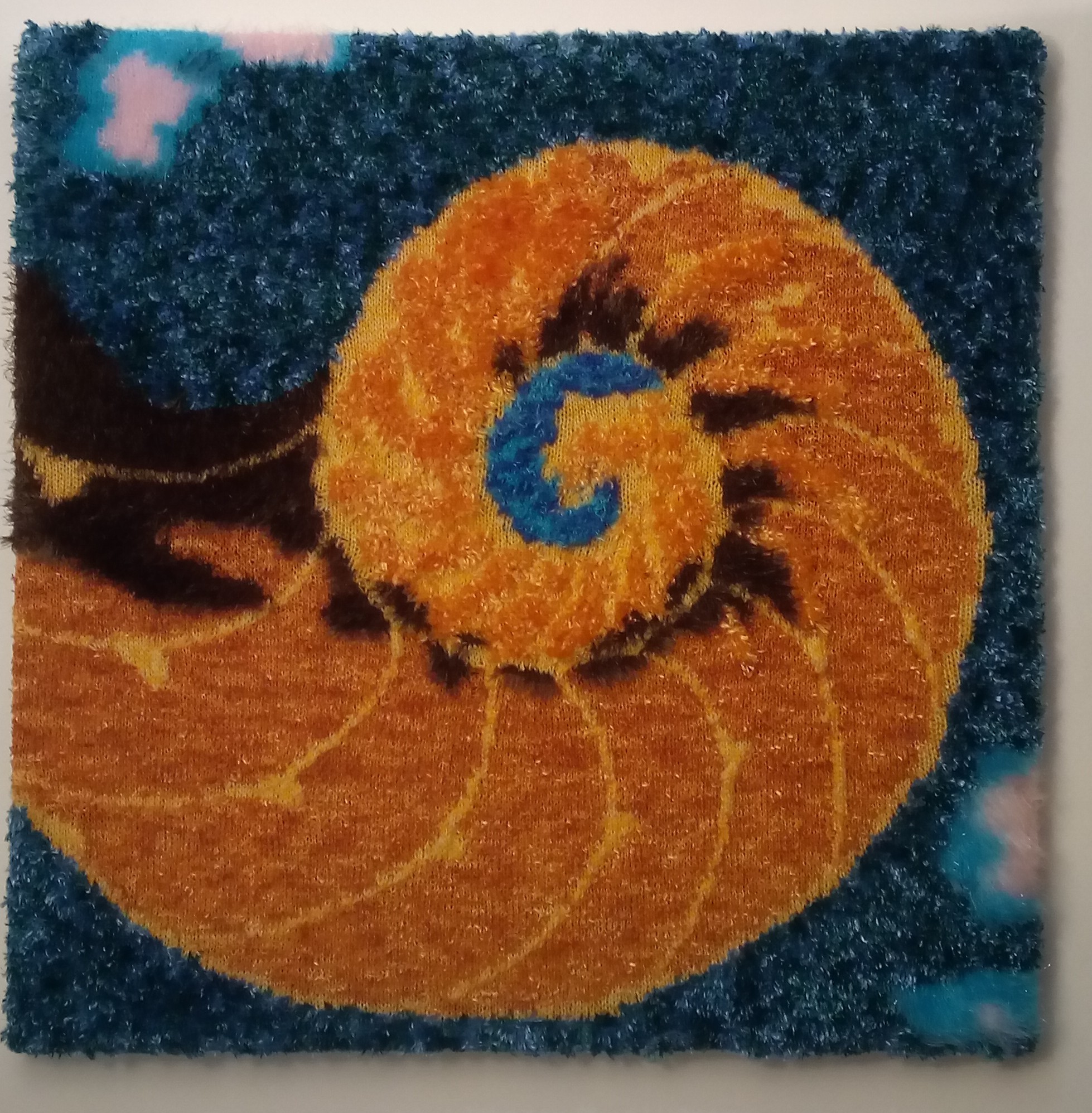 226 2020 nautilus shell